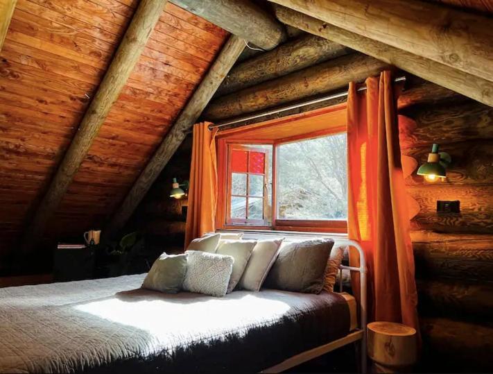 Coromandel Secluded Log Cabin Retreat Hikuai Kültér fotó