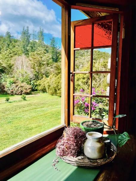 Coromandel Secluded Log Cabin Retreat Hikuai Kültér fotó